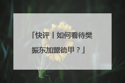 快评丨如何看待樊振东加盟德甲？