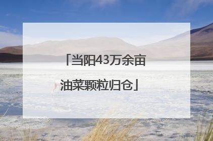 当阳43万余亩油菜颗粒归仓