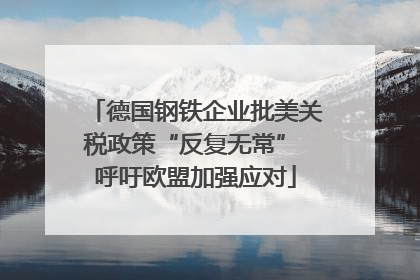 德国钢铁企业批美关税政策“反复无常” 呼吁欧盟加强应对