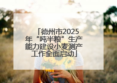 德州市2025年“吨半粮”生产能力建设小麦测产工作全面启动