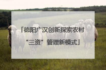 德阳广汉创新探索农村“三资”管理新模式