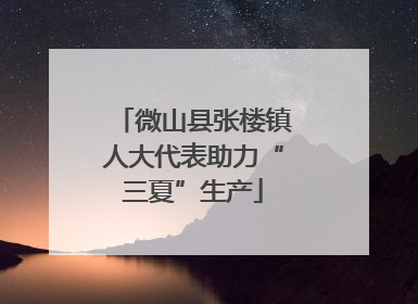 微山县张楼镇人大代表助力“三夏”生产
