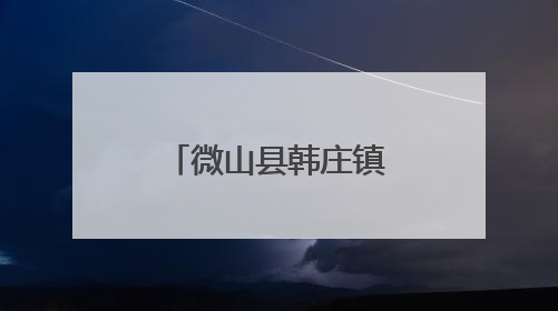 微山县韩庄镇“双圈”融合织就民生幸福网