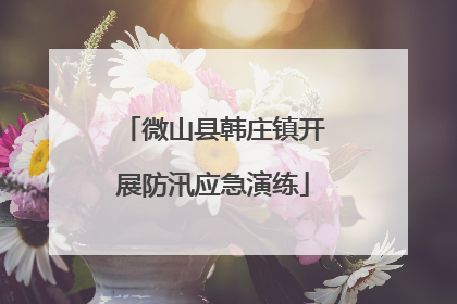 微山县韩庄镇开展防汛应急演练