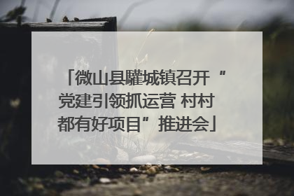 微山县驩城镇召开“党建引领抓运营 村村都有好项目”推进会