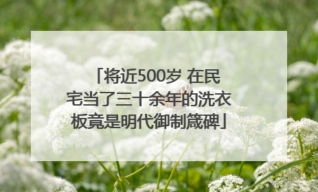 将近500岁 在民宅当了三十余年的洗衣板竟是明代御制箴碑