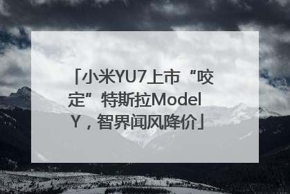 小米YU7上市“咬定”特斯拉Model Y，智界闻风降价