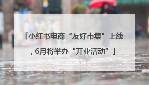 小红书电商“友好市集”上线，6月将举办“开业活动”