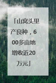 山窝头里产良种，600多亩地增收近20万元