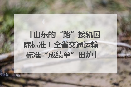 山东的“路”接轨国际标准！全省交通运输标准“成绩单”出炉