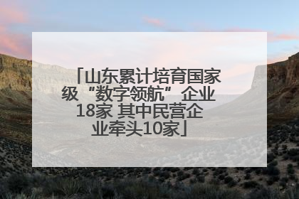 山东累计培育国家级“数字领航”企业18家 其中民营企业牵头10家