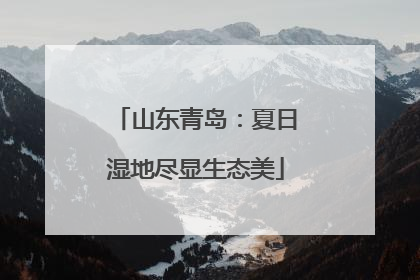 山东青岛：夏日湿地尽显生态美