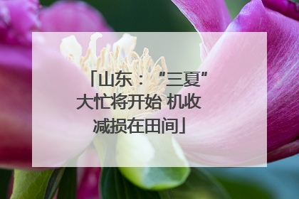 山东：“三夏”大忙将开始 机收减损在田间