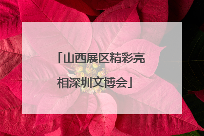 山西展区精彩亮相深圳文博会