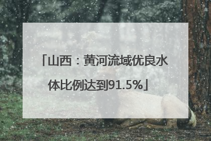 山西：黄河流域优良水体比例达到91.5%