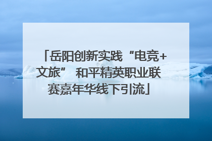 岳阳创新实践“电竞+文旅” 和平精英职业联赛嘉年华线下引流