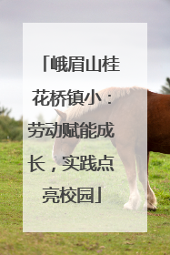 峨眉山桂花桥镇小：劳动赋能成长，实践点亮校园