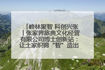 峰林聚智 科创兴张丨张家界旅典文化经营有限公司博士创新站：让土家织锦“智”造出非遗新传奇