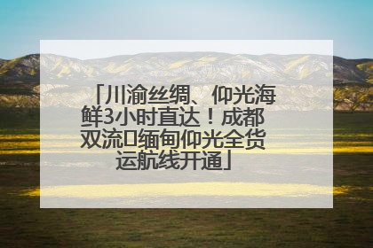 川渝丝绸、仰光海鲜3小时直达！成都双流⇌缅甸仰光全货运航线开通