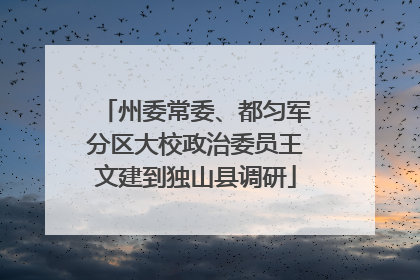 州委常委、都匀军分区大校政治委员王文建到独山县调研