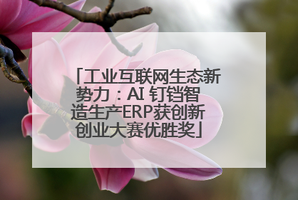 工业互联网生态新势力：AI 钉铛智造生产ERP获创新创业大赛优胜奖