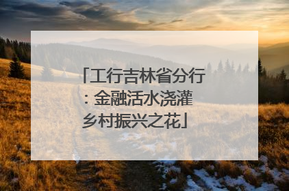 工行吉林省分行：金融活水浇灌 乡村振兴之花