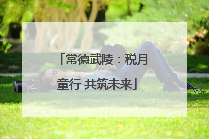 常德武陵：税月童行 共筑未来