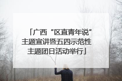 广西“区直青年说”主题宣讲暨五四示范性主题团日活动举行