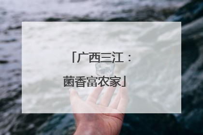 广西三江：菌香富农家