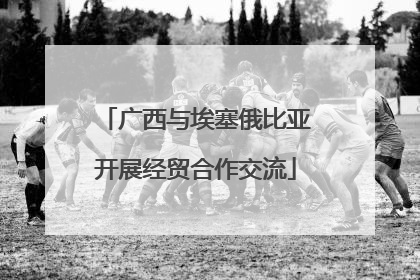 广西与埃塞俄比亚开展经贸合作交流