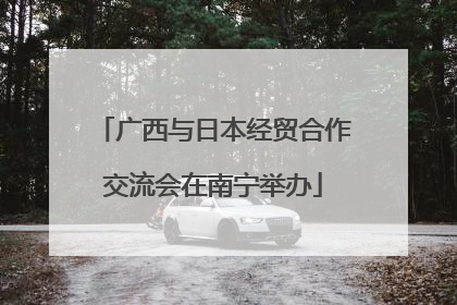 广西与日本经贸合作交流会在南宁举办