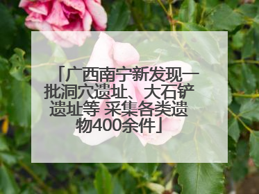 广西南宁新发现一批洞穴遗址、大石铲遗址等 采集各类遗物400余件