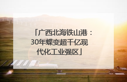 广西北海铁山港：30年蝶变超千亿现代化工业强区