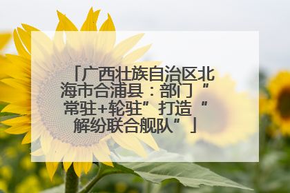 广西壮族自治区北海市合浦县：部门“常驻+轮驻”打造“解纷联合舰队”