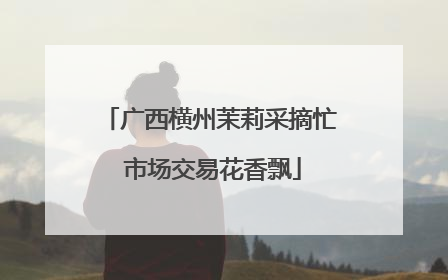 广西横州茉莉采摘忙 市场交易花香飘