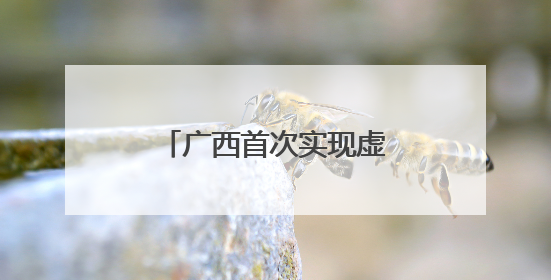 广西首次实现虚拟电厂实时调控