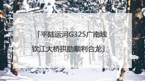 平陆运河G325广南线钦江大桥拱肋顺利合龙