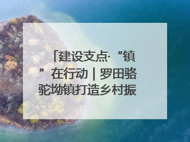 建设支点·“镇”在行动｜罗田骆驼坳镇打造乡村振兴新样板