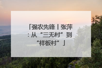 强农先锋丨张萍：从“三无村”到“样板村”