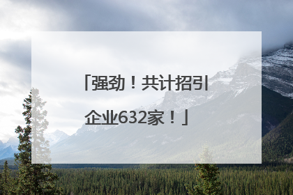 强劲！共计招引企业632家！