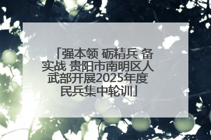 强本领 砺精兵 备实战 贵阳市南明区人武部开展2025年度民兵集中轮训
