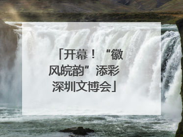 开幕！“徽风皖韵”添彩深圳文博会