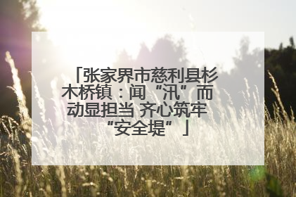 张家界市慈利县杉木桥镇：闻“汛”而动显担当 齐心筑牢“安全堤”