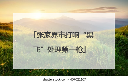 张家界市打响“黑飞”处理第一枪