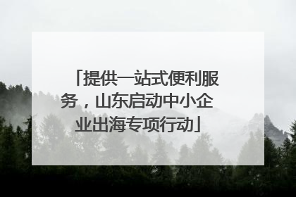 提供一站式便利服务，山东启动中小企业出海专项行动