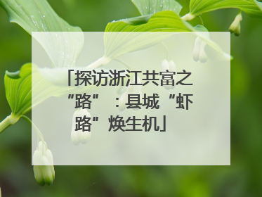 探访浙江共富之“路”：县城“虾路”焕生机