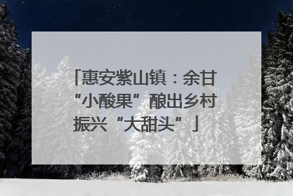 惠安紫山镇：余甘“小酸果”酿出乡村振兴“大甜头”