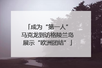 成为“第一人” 马克龙到访格陵兰岛展示“欧洲团结”