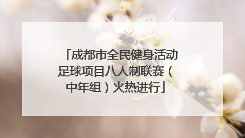 成都市全民健身活动足球项目八人制联赛（中年组）火热进行