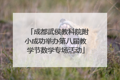 成都武侯教科院附小成功举办第八届教学节数学专场活动